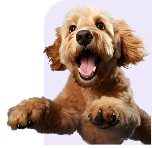 Product or lifestyle hero