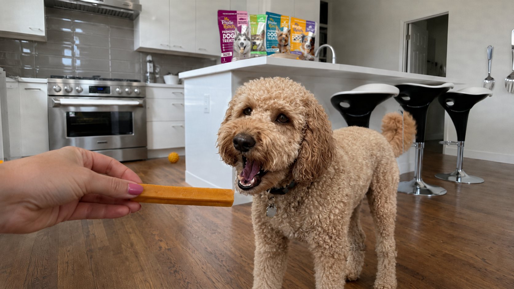 My Foodie Pooch homepage hero image for Made for dogs whose humans read labels.